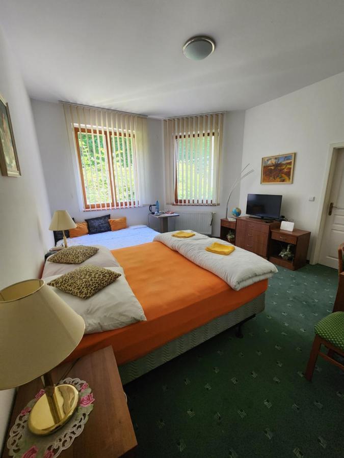 Apartament Kristoff Plaza Trencianske Teplice Trenčín Zewnętrze zdjęcie